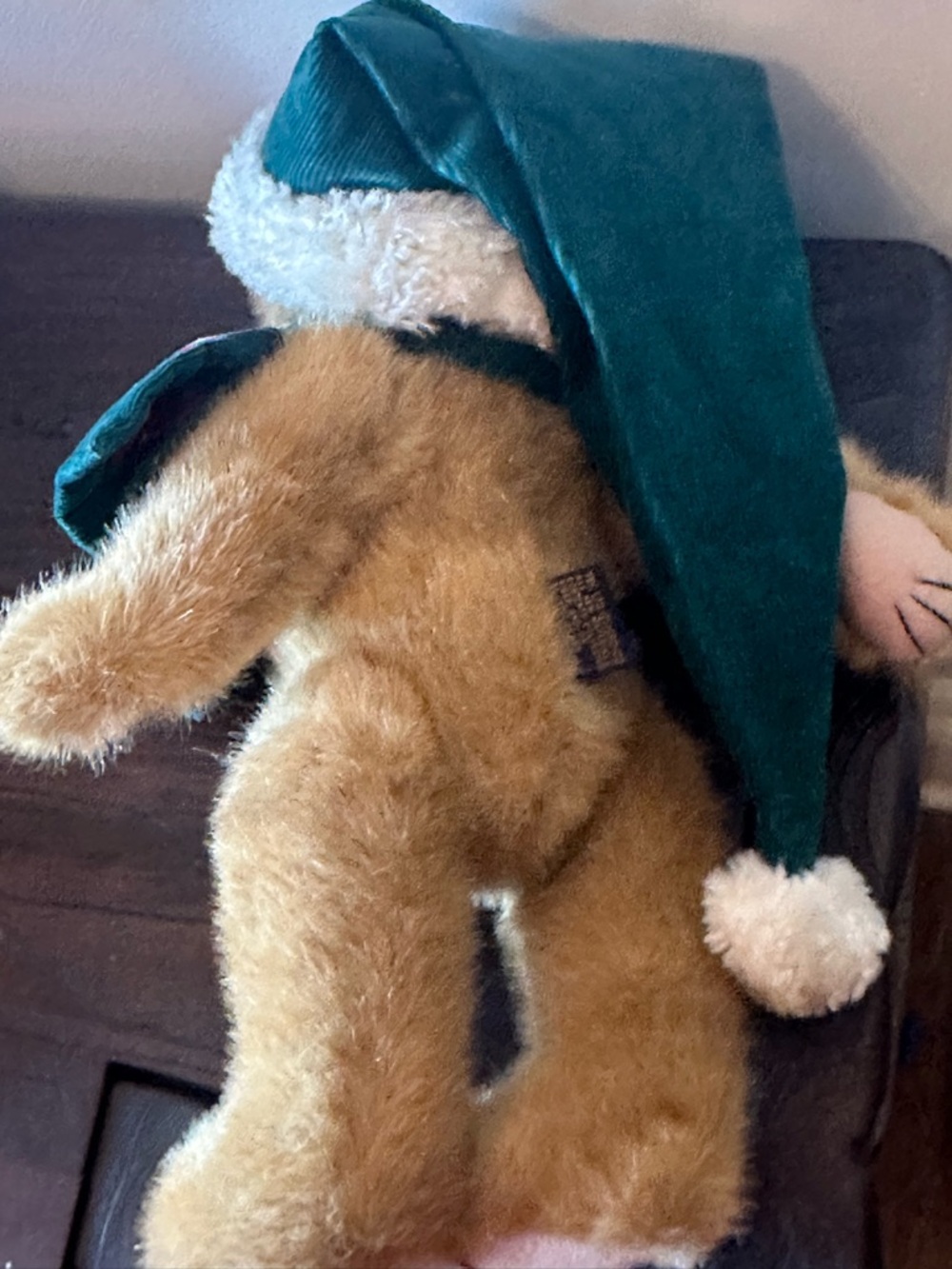 Boyd’s Bear - Picture 4 of 8